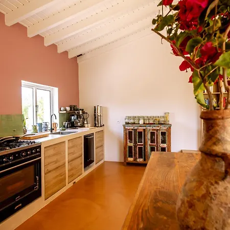 Casa Pinho Vista * 알제주르