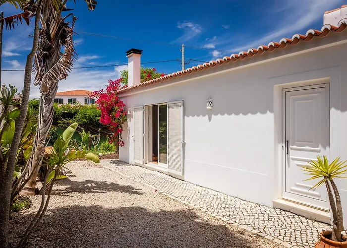 Casa Pinho Vista Villa *